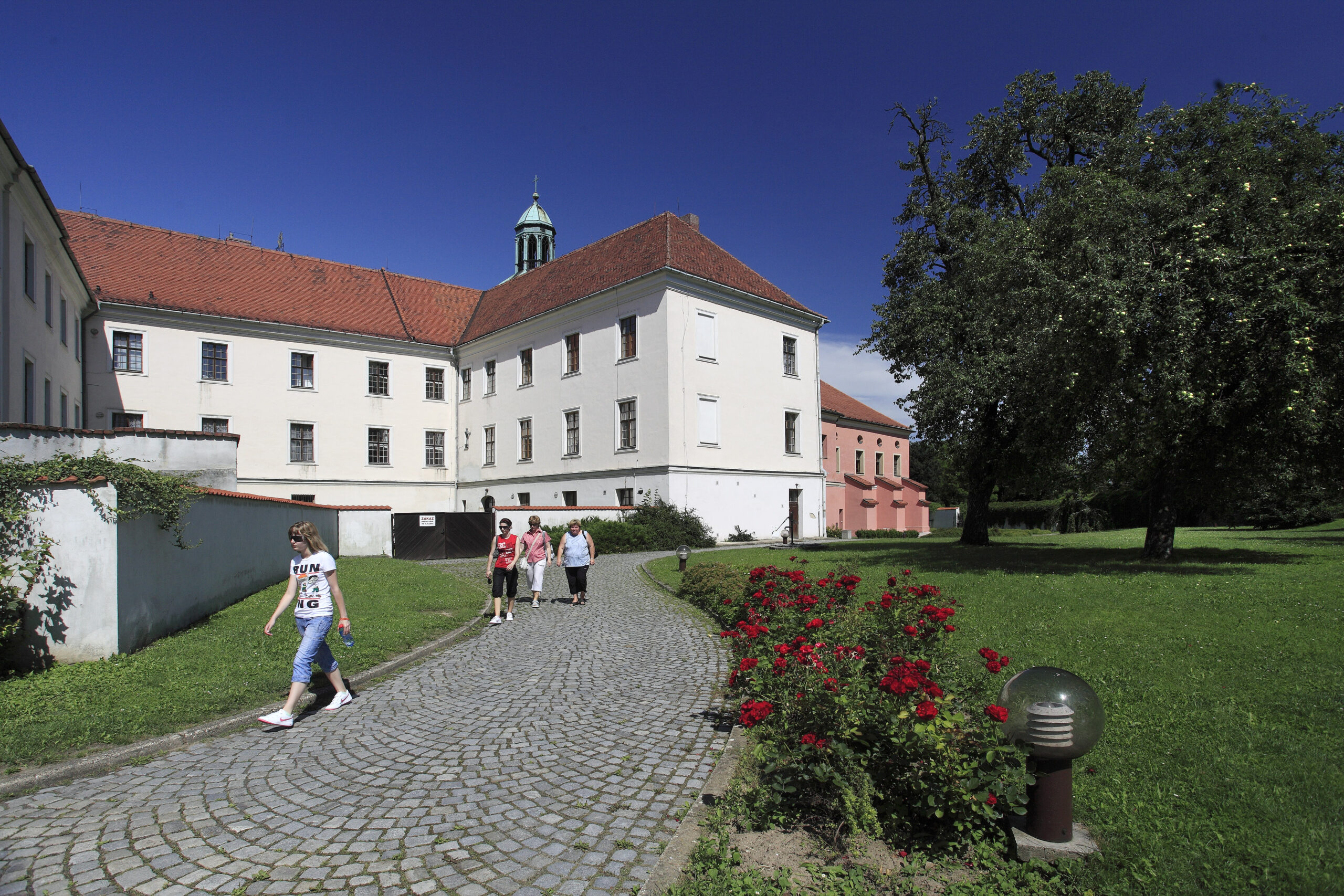 A guided tour of the Dominican monastery and Saint Wenceslaus Church