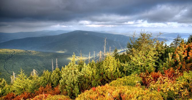 The Mountain Travný (Grassy)