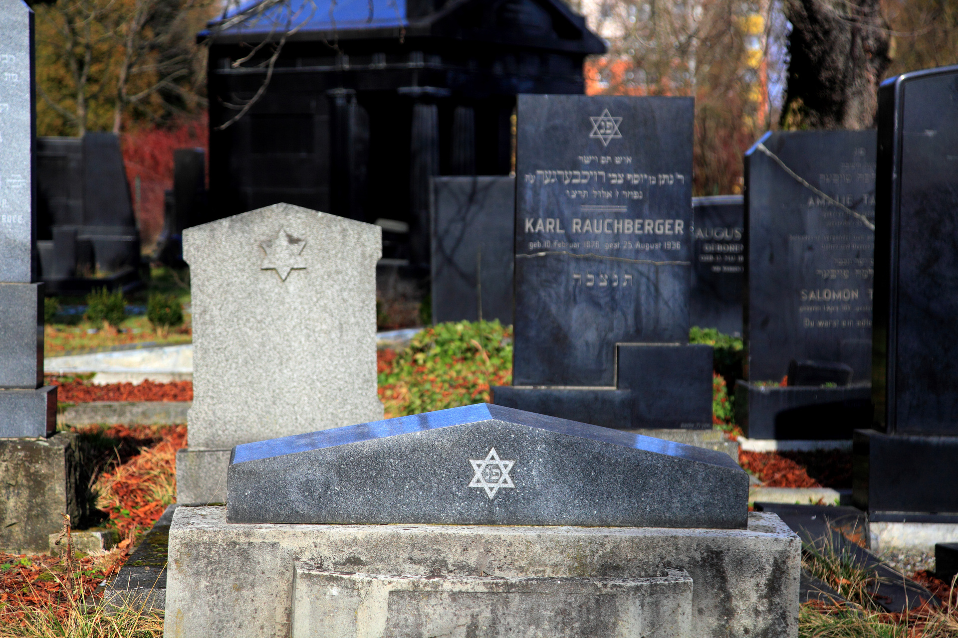 Cmentarz Żydowski w mieście Frýdek-Místek