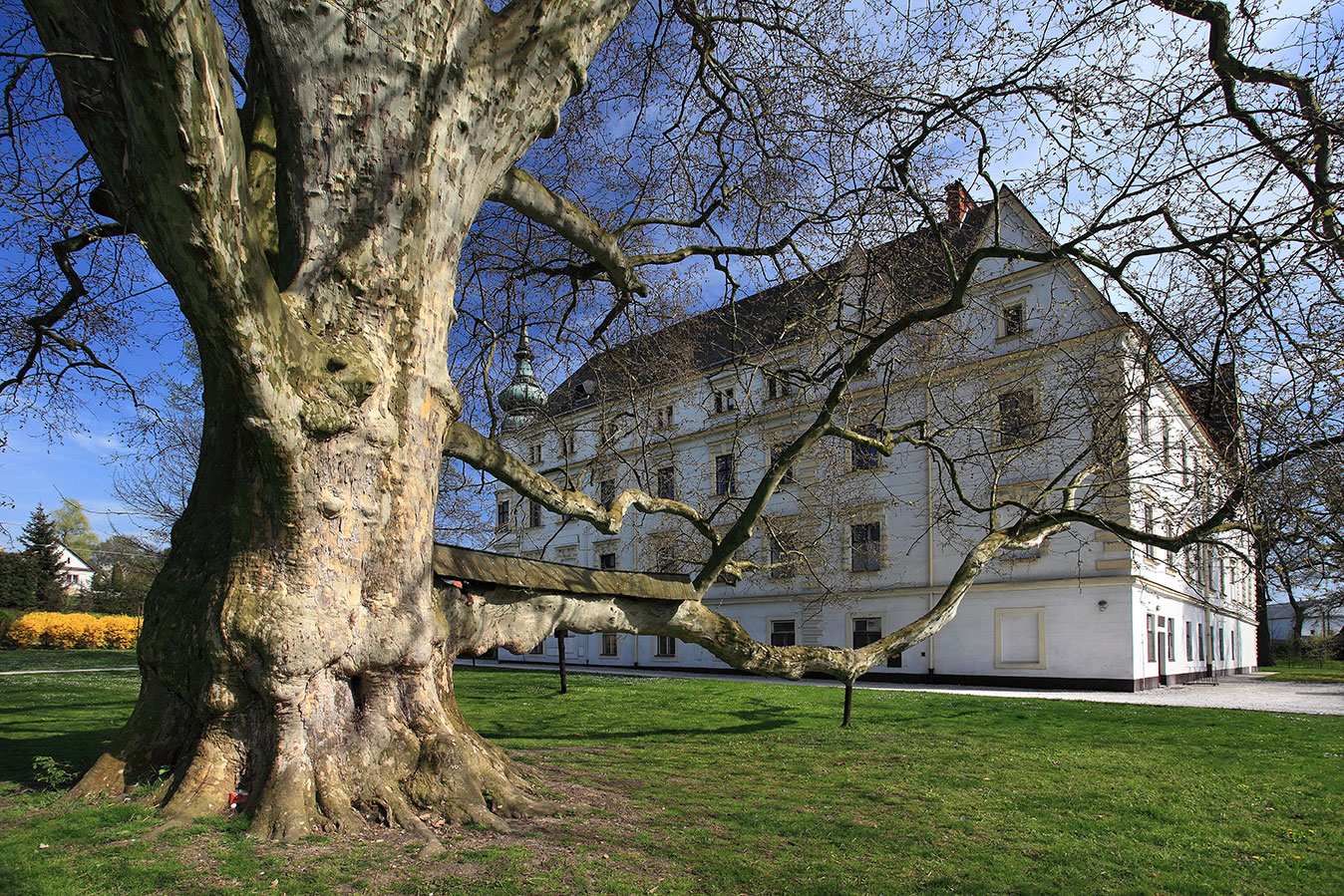 The Bartošovice chateau park