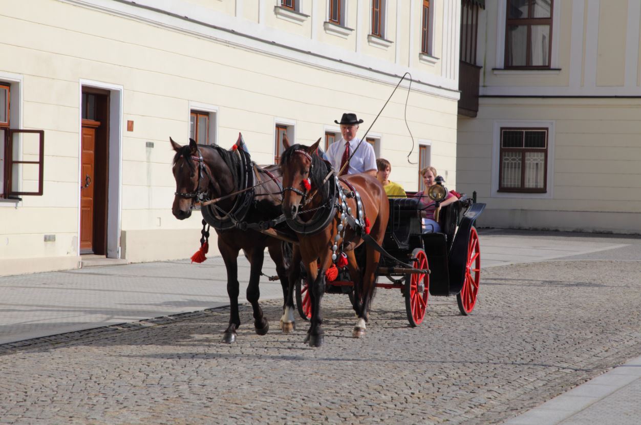 Fryštát Chateau