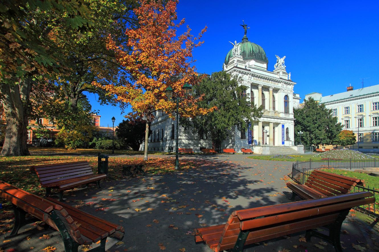 Silesian Museum