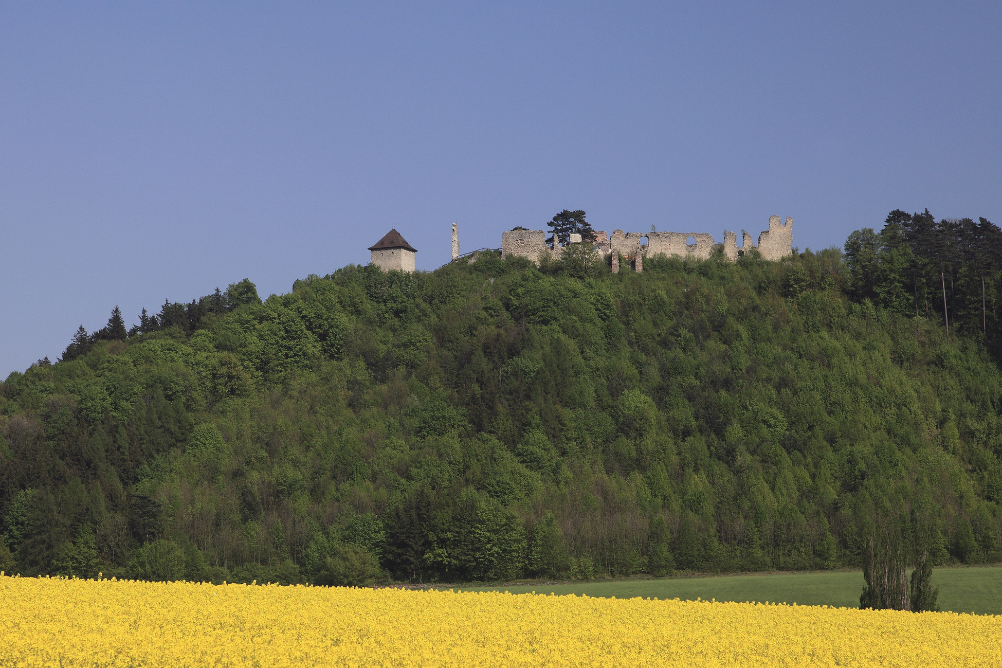 Hrad Starý Jičín