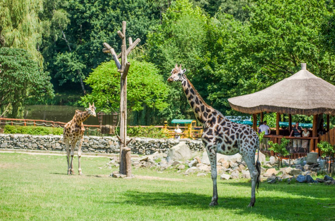 Zoo Ostrava