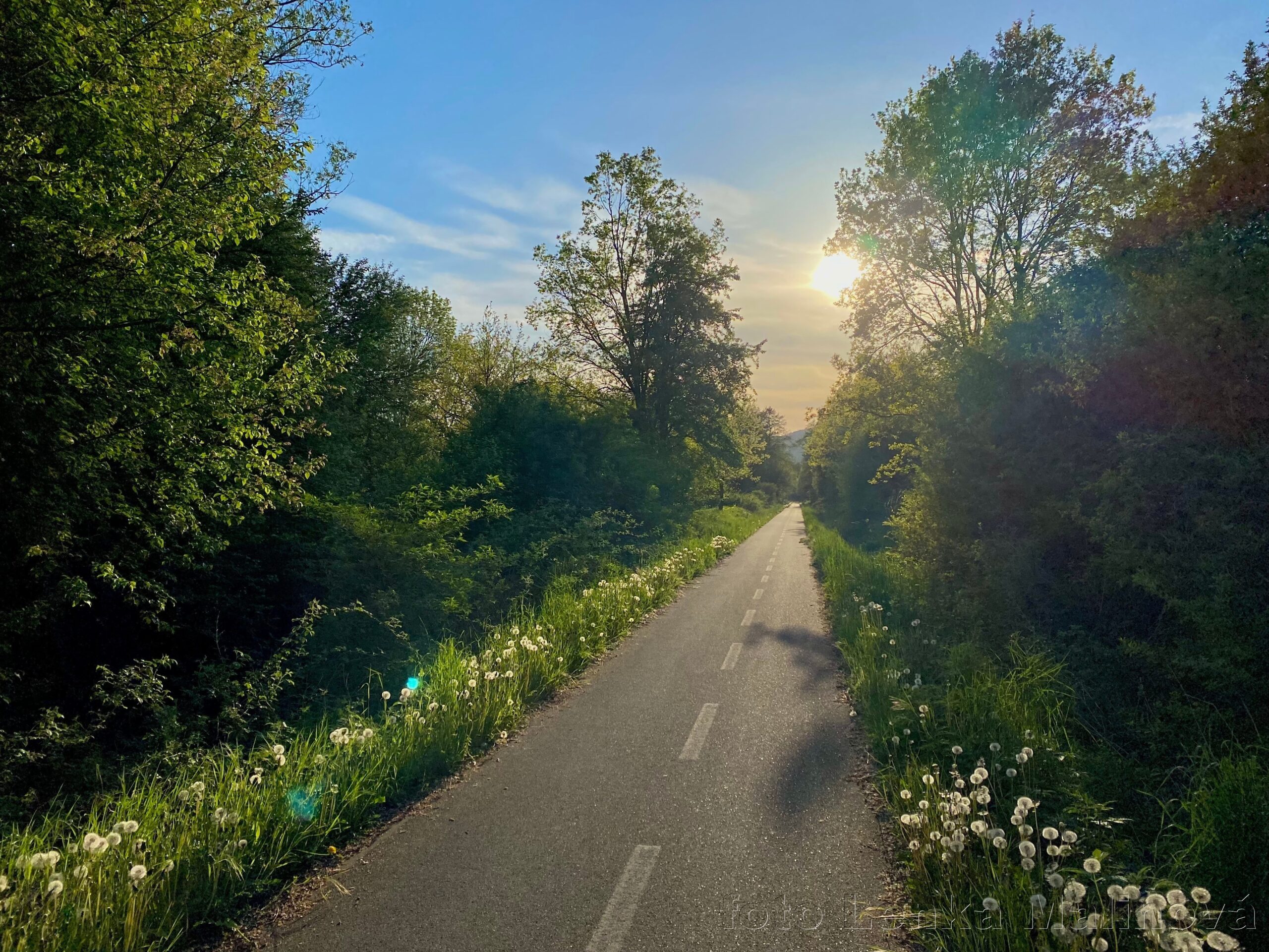 “rails” cycle path near Nový Jičín