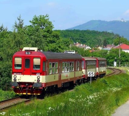 Svatomartinský vlak