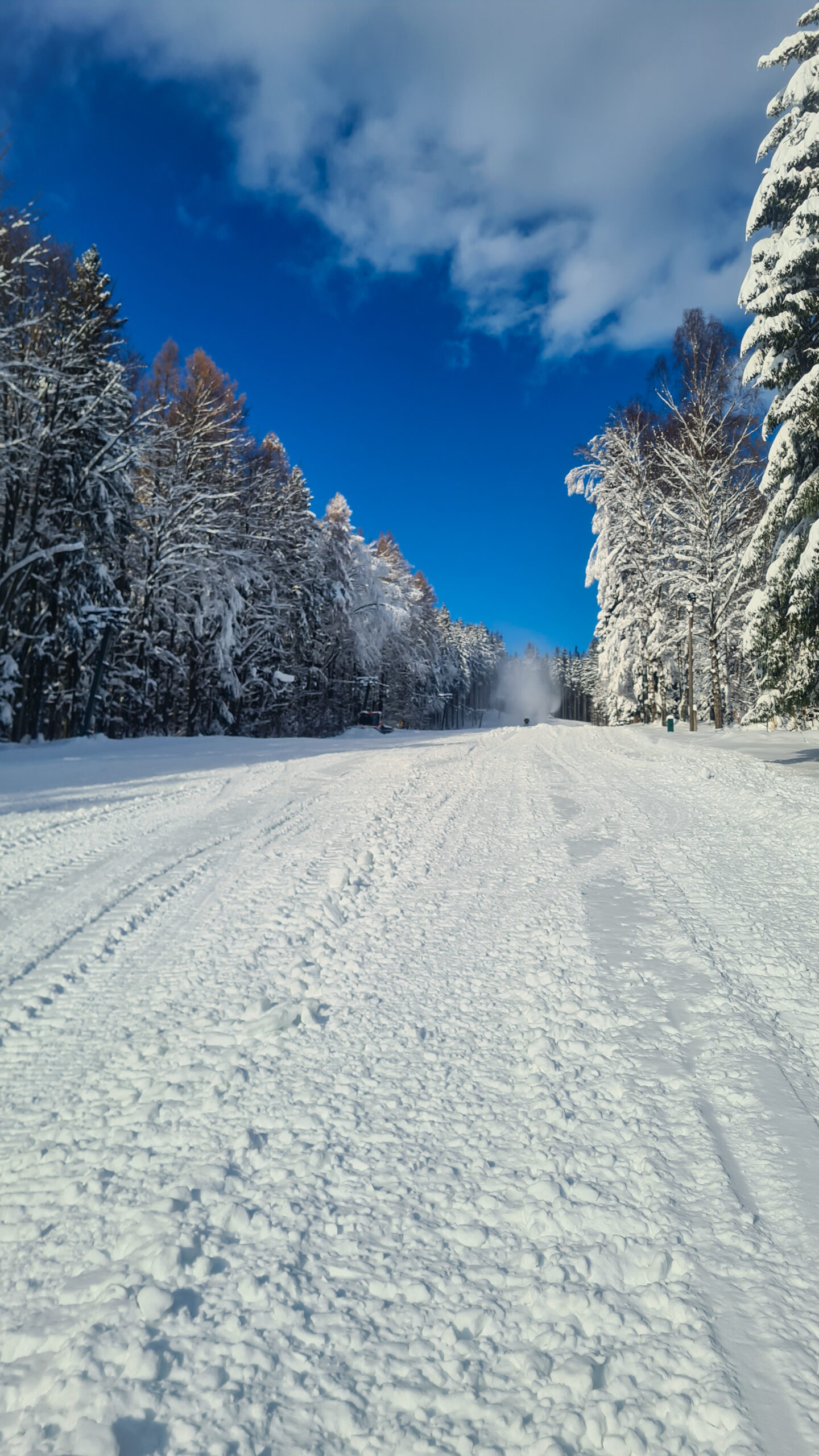 Pradědova aréna Karlova Studánka